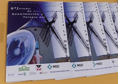 Programa de las VIII jornadas