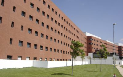 Renovada la Junta directiva de la ACMARTD